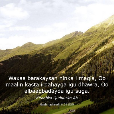 Picture 03 - Maahmaahyadii 8:34 SOM - Waxaa barakaysan ninka i maqla, Oo maalin kasta - Bible Verse Picture