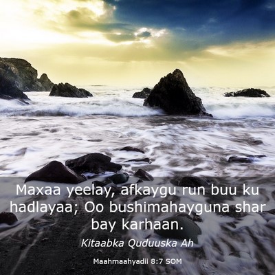 Picture 03 - Maahmaahyadii 8:7 SOM - Maxaa yeelay, afkaygu run buu ku hadlayaa; Oo - Bible Verse Picture