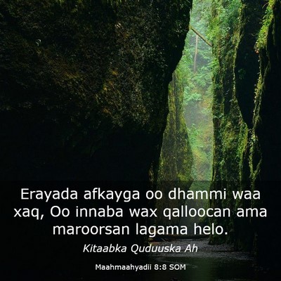 Picture 03 - Maahmaahyadii 8:8 SOM - Erayada afkayga oo dhammi waa xaq, Oo innaba wax - Bible Verse Picture