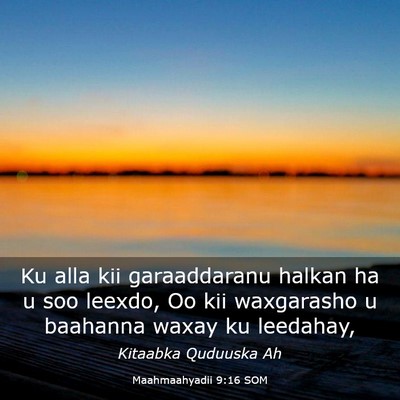 Picture 03 - Maahmaahyadii 9:16 SOM - Ku alla kii garaaddaranu halkan ha u soo leexdo, - Bible Verse Picture