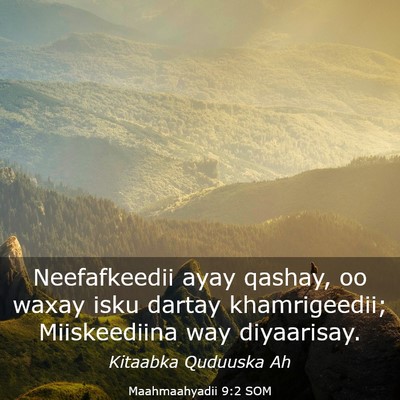 Picture 03 - Maahmaahyadii 9:2 SOM - Neefafkeedii ayay qashay, oo waxay isku dartay - Bible Verse Picture