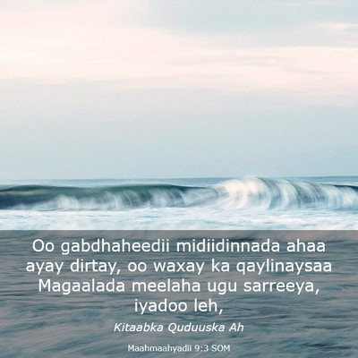 Picture 03 - Maahmaahyadii 9:3 SOM - Oo gabdhaheedii midiidinnada ahaa ayay dirtay, oo - Bible Verse Picture