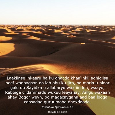 Picture 03 - Malaakii 1:14 SOM - Laakiinse inkaaru ha ku dhacdo khaa'inkii - Bible Verse Picture