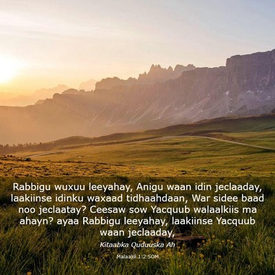 Picture 03 - Malaakii 1:2 SOM - Rabbigu wuxuu leeyahay, Anigu waan idin - Bible Verse Picture