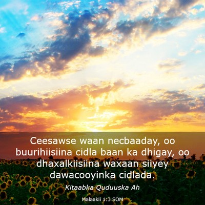 Picture 03 - Malaakii 1:3 SOM - Ceesawse waan necbaaday, oo buurihiisiina cidla - Bible Verse Picture