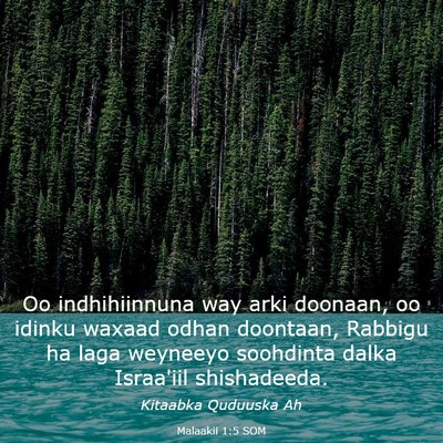 Picture 03 - Malaakii 1:5 SOM - Oo indhihiinnuna way arki doonaan, oo idinku - Bible Verse Picture