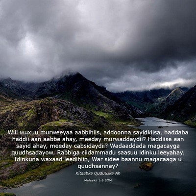 Picture 03 - Malaakii 1:6 SOM - Wiil wuxuu murweeyaa aabbihiis, addoonna - Bible Verse Picture