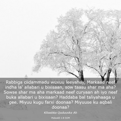 Picture 03 - Malaakii 1:8 SOM - Rabbiga ciidammadu wuxuu leeyahay, Markaad neef - Bible Verse Picture