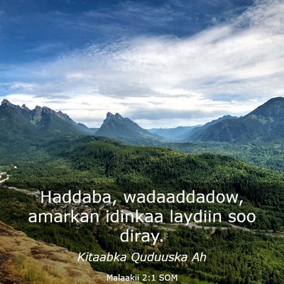 Picture 03 - Malaakii 2:1 SOM - Haddaba, wadaaddadow, amarkan idinkaa laydiin soo - Bible Verse Picture