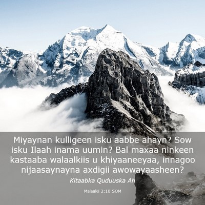 Picture 03 - Malaakii 2:10 SOM - Miyaynan kulligeen isku aabbe ahayn? Sow isku - Bible Verse Picture