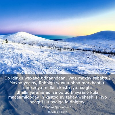Picture 03 - Malaakii 2:14 SOM - Oo idinku waxaad tidhaahdaan, Waa maxay sababtu? - Bible Verse Picture