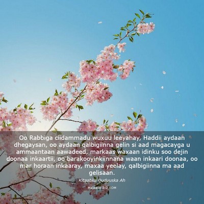 Picture 03 - Malaakii 2:2 SOM - Oo Rabbiga ciidammadu wuxuu leeyahay, Haddii - Bible Verse Picture