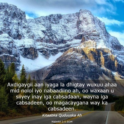 Picture 03 - Malaakii 2:5 SOM - Axdigaygii aan iyaga la dhigtay wuxuu ahaa mid - Bible Verse Picture