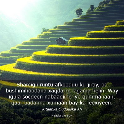 Picture 03 - Malaakii 2:6 SOM - Sharcigii runtu afkooduu ku jiray, oo - Bible Verse Picture