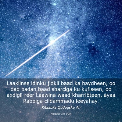 Picture 03 - Malaakii 2:8 SOM - Laakiinse idinku jidkii baad ka baydheen, oo dad - Bible Verse Picture