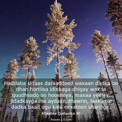 Picture 03 - Malaakii 2:9 SOM - Haddaba sidaas daraaddeed waxaan dadka oo dhan - Bible Verse Picture