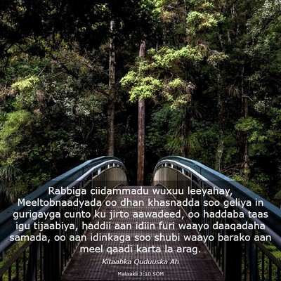 Picture 03 - Malaakii 3:10 SOM - Rabbiga ciidammadu wuxuu leeyahay, - Bible Verse Picture