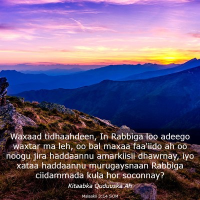 Picture 03 - Malaakii 3:14 SOM - Waxaad tidhaahdeen, In Rabbiga loo adeego waxtar - Bible Verse Picture