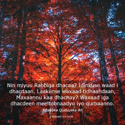 Picture 03 - Malaakii 3:8 SOM - Nin miyuu Rabbiga dhacaa? Idinkuse waad i - Bible Verse Picture