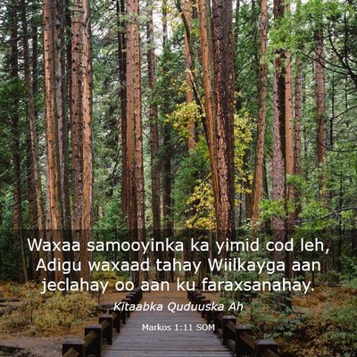 Picture 03 - Markos 1:11 SOM - Waxaa samooyinka ka yimid cod leh, Adigu waxaad - Bible Verse Picture
