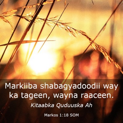 Picture 03 - Markos 1:18 SOM - Markiiba shabagyadoodii way ka tageen, wayna - Bible Verse Picture