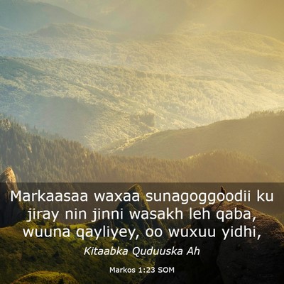 Picture 03 - Markos 1:23 SOM - Markaasaa waxaa sunagoggoodii ku jiray nin jinni - Bible Verse Picture