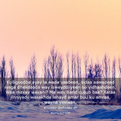 Picture 03 - Markos 1:27 SOM - Kulligoodba ayay la wada yaabeen, sidaa aawadeed - Bible Verse Picture