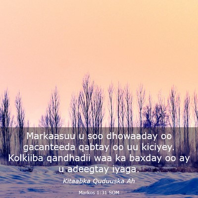 Picture 03 - Markos 1:31 SOM - Markaasuu u soo dhowaaday oo gacanteeda qabtay oo - Bible Verse Picture
