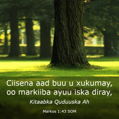 Picture 03 - Markos 1:43 SOM - Ciisena aad buu u xukumay, oo markiiba ayuu iska - Bible Verse Picture