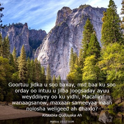 Picture 03 - Markos 10:17 SOM - Goortuu jidka u soo baxay, mid baa ku soo orday - Bible Verse Picture