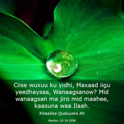 Picture 03 - Markos 10:18 SOM - Ciise wuxuu ku yidhi, Maxaad iigu yeedhaysaa, - Bible Verse Picture