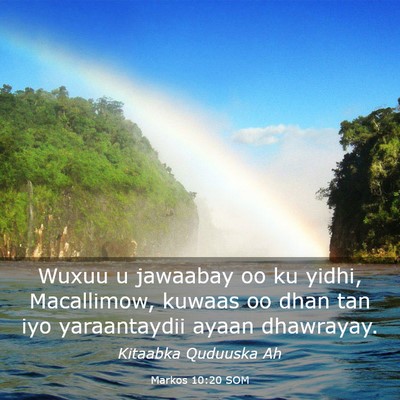Picture 03 - Markos 10:20 SOM - Wuxuu u jawaabay oo ku yidhi, Macallimow, kuwaas - Bible Verse Picture