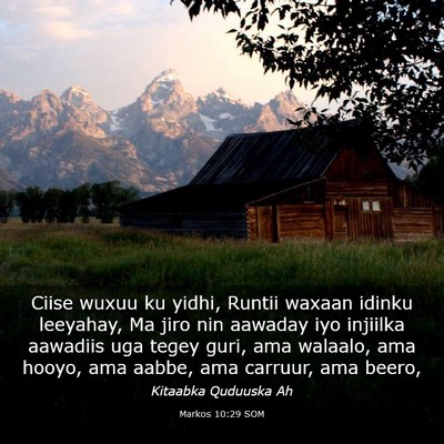 Picture 03 - Markos 10:29 SOM - Ciise wuxuu ku yidhi, Runtii waxaan idinku - Bible Verse Picture