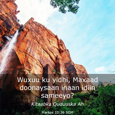Picture 03 - Markos 10:36 SOM - Wuxuu ku yidhi, Maxaad doonaysaan inaan idiin - Bible Verse Picture