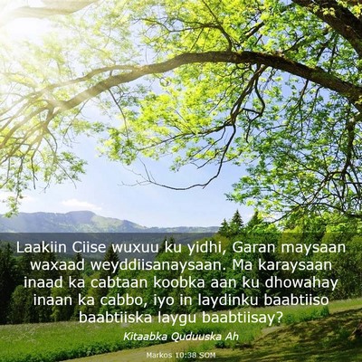 Picture 03 - Markos 10:38 SOM - Laakiin Ciise wuxuu ku yidhi, Garan maysaan - Bible Verse Picture