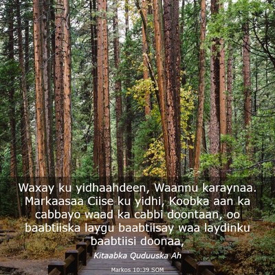 Picture 03 - Markos 10:39 SOM - Waxay ku yidhaahdeen, Waannu karaynaa. Markaasaa - Bible Verse Picture