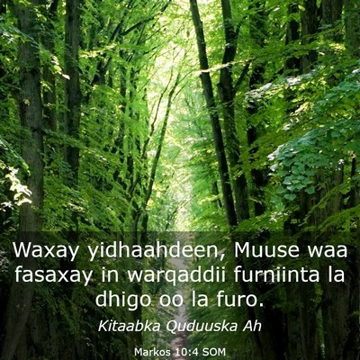 Picture 03 - Markos 10:4 SOM - Waxay yidhaahdeen, Muuse waa fasaxay in warqaddii - Bible Verse Picture