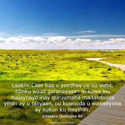 Picture 03 - Markos 10:42 SOM - Laakiin Ciise baa u yeedhay oo ku yidhi, Idinku - Bible Verse Picture