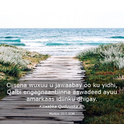 Picture 03 - Markos 10:5 SOM - Ciisena wuxuu u jawaabay oo ku yidhi, Qalbi - Bible Verse Picture