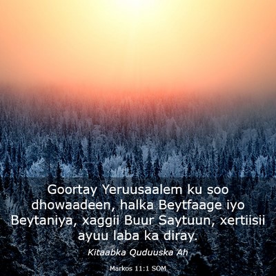 Picture 03 - Markos 11:1 SOM - Goortay Yeruusaalem ku soo dhowaadeen, halka - Bible Verse Picture