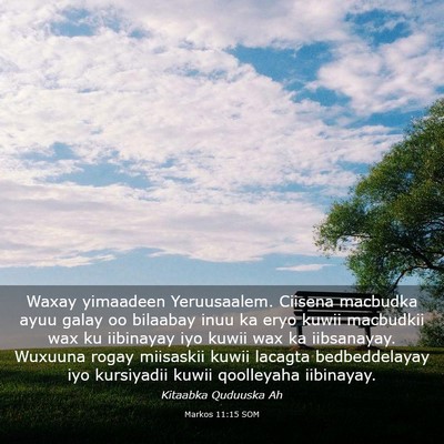 Picture 03 - Markos 11:15 SOM - Waxay yimaadeen Yeruusaalem. Ciisena macbudka - Bible Verse Picture