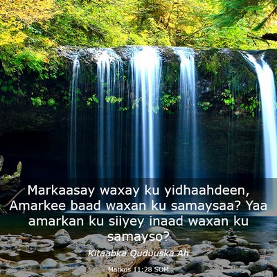 Picture 03 - Markos 11:28 SOM - Markaasay waxay ku yidhaahdeen, Amarkee baad - Bible Verse Picture
