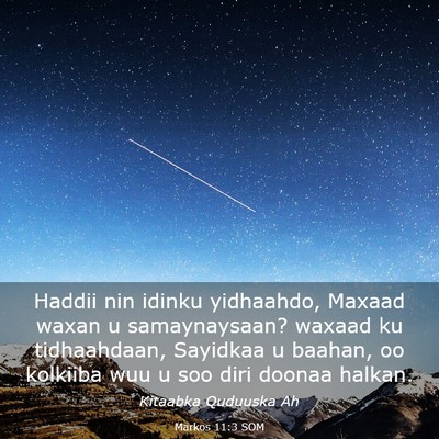 Picture 03 - Markos 11:3 SOM - Haddii nin idinku yidhaahdo, Maxaad waxan u - Bible Verse Picture