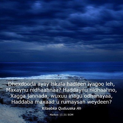 Picture 03 - Markos 11:31 SOM - Dhexdooda ayay iskala hadleen iyagoo leh, Maxaynu - Bible Verse Picture