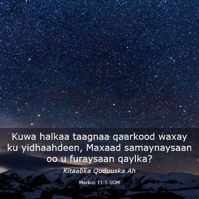 Picture 03 - Markos 11:5 SOM - Kuwa halkaa taagnaa qaarkood waxay ku - Bible Verse Picture