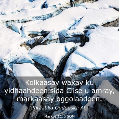 Picture 03 - Markos 11:6 SOM - Kolkaasay waxay ku yidhaahdeen sida Ciise u - Bible Verse Picture