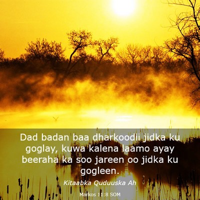 Picture 03 - Markos 11:8 SOM - Dad badan baa dharkoodii jidka ku goglay, kuwa - Bible Verse Picture