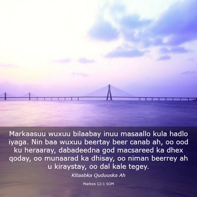 Picture 03 - Markos 12:1 SOM - Markaasuu wuxuu bilaabay inuu masaallo kula hadlo - Bible Verse Picture