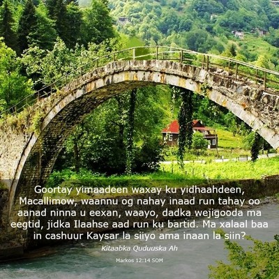 Picture 03 - Markos 12:14 SOM - Goortay yimaadeen waxay ku yidhaahdeen, - Bible Verse Picture