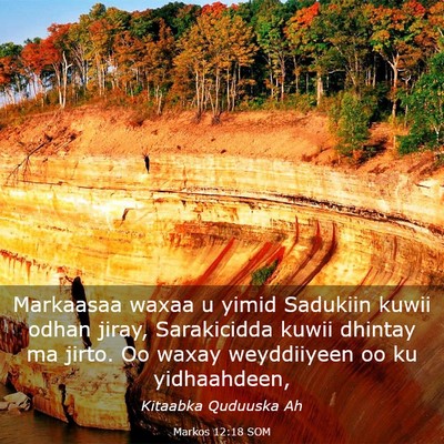 Picture 03 - Markos 12:18 SOM - Markaasaa waxaa u yimid Sadukiin kuwii odhan - Bible Verse Picture